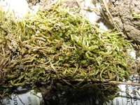 IMG_3780_изменить размер.webp