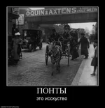 842367_pontyi.webp