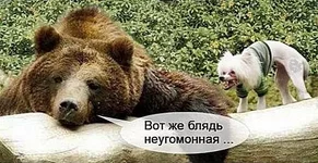 .webp