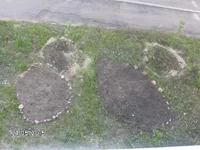 HPIM0691.webp