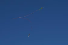 DSC05584.webp