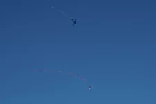 DSC05587.webp