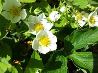 20150524_142942.webp