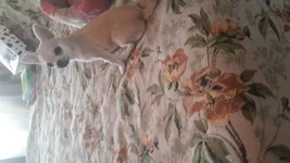 20150525_095837[1].webp