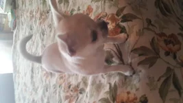 20150525_095915[1].webp
