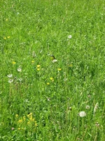 IMG_6881_1.jpg