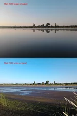  берега.webp