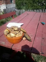 -0102.webp
