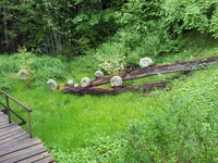20150527_165120.webp