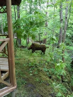 20150527_170854.jpg