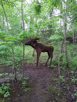 20150527_171633.jpg