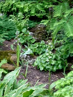IMD_6221w.webp
