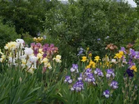 IMD_6224w.webp