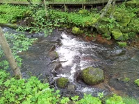 20150527_165827.webp