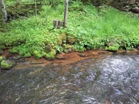 20150527_165858.webp
