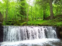 20150527_170413.webp