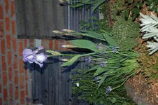 DSC_0318.webp