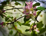 _MG_0883.webp
