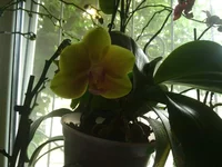 2015-05-30 14.18.49.jpg