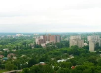 photo 3.webp