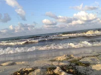 IMG_3029.webp
