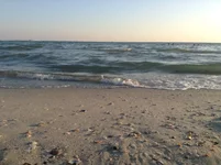 IMG_2717.webp
