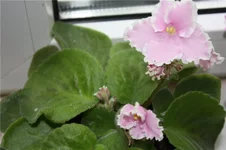 8f6bf79405e7.webp