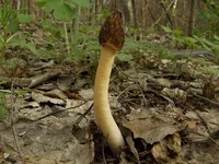 DSCN6760.webp
