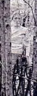 privedeniya_18.webp