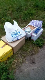 image-020b3873226163b5b12334cb275982eafea7cc4cef544d51ac36954ccb08cdf5-V.webp