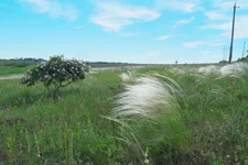DSCF6868.webp