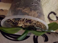 20150605_151956.jpg