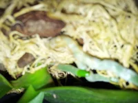 20150605_161647.webp
