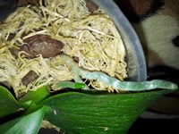 20150605_161713.jpg