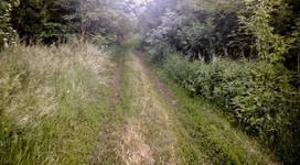 2015-06-06 19-41-10-2.webp