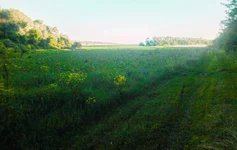 2015-06-06 19-41-23-2.webp