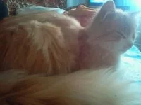 0125.webp