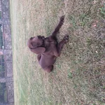 image (1).webp