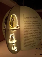 20150609_180149.webp