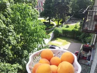 20150613_161743.webp