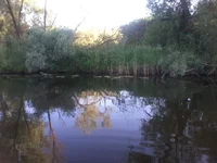 20150613_192630.jpg