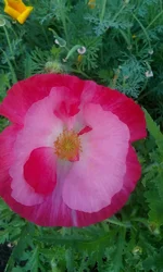  1659.webp