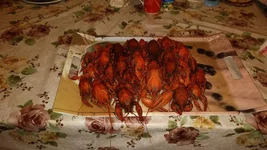 20150616_214437.jpg