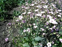 IMG_20150608_142608.webp