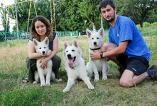 Abbi_sahar_luta4.webp