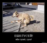 ytm7lg6c9cak.webp