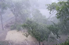 DSCF3594.webp