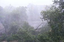 DSCF3595.webp
