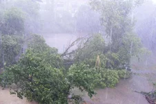 DSCF3597.webp