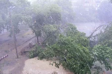 DSCF3598.webp